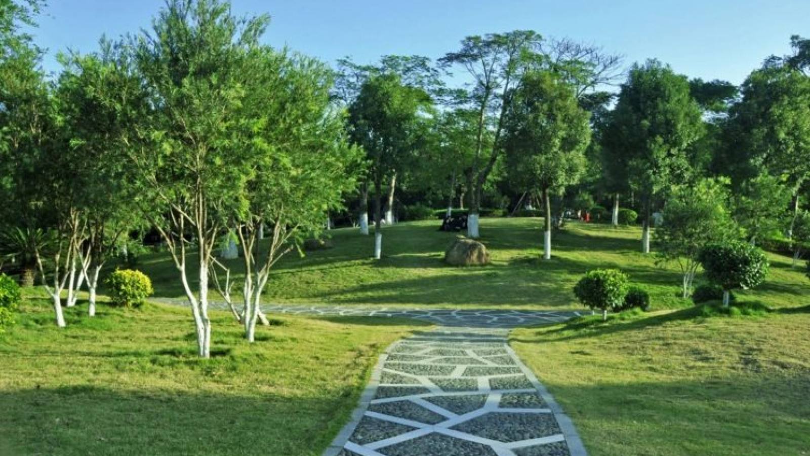 球速体育体育社区栏目配图